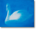 "Schwan", Öl auf Leinwand, 24x30 cm
